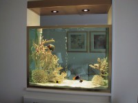7 séparation aquarium - copyright aquachange